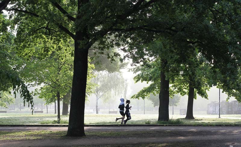 Plumstead Area Guide - Image 1