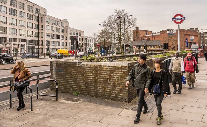 Swiss Cottage Area Guide - Image 4