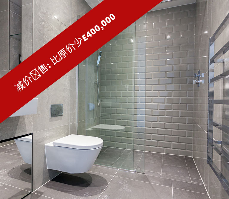 1102-Meranti-House,-Canter-Way,-Goodmans-Fields,-London-E1-8PW--4